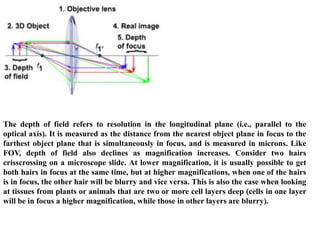 Microscopy and Micrometry | PPTX