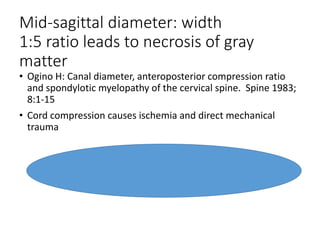 Mid-sagittal diameter: width
1:5 ratio leads to necrosis of gray
matter
• Ogino H: Canal diameter, anteroposterior compression ratio
and spondylotic myelopathy of the cervical spine. Spine 1983;
8:1-15
• Cord compression causes ischemia and direct mechanical
trauma
 
