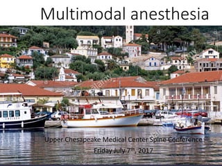 Multimodal anesthesia
Upper Chesapeake Medical Center Spine Conference
Friday July 7th, 2017
 