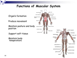 lecturemusculoskeletalsysteminchildren-240306064926-bdf39a9b.pptx