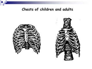 Lecture Musculoskeletal system in children.pptx