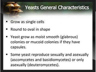 Introduction to Clinical Mycology (Study of Fungi) | PDF