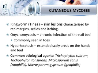 Fungal Incections in Human (Clinical Mycology) | PDF