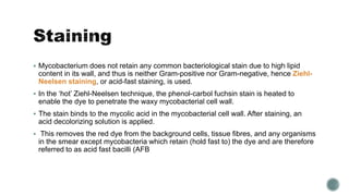  Mycobacterium does not retain any common bacteriological stain due to high lipid
content in its wall, and thus is neither Gram-positive nor Gram-negative, hence Ziehl-
Neelsen staining, or acid-fast staining, is used.
 In the ‘hot’ Ziehl-Neelsen technique, the phenol-carbol fuchsin stain is heated to
enable the dye to penetrate the waxy mycobacterial cell wall.
 The stain binds to the mycolic acid in the mycobacterial cell wall. After staining, an
acid decolorizing solution is applied.
 This removes the red dye from the background cells, tissue fibres, and any organisms
in the smear except mycobacteria which retain (hold fast to) the dye and are therefore
referred to as acid fast bacilli (AFB
 