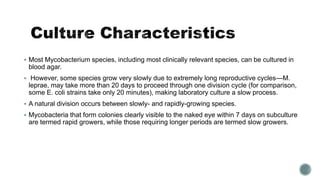  Most Mycobacterium species, including most clinically relevant species, can be cultured in
blood agar.
 However, some species grow very slowly due to extremely long reproductive cycles—M.
leprae, may take more than 20 days to proceed through one division cycle (for comparison,
some E. coli strains take only 20 minutes), making laboratory culture a slow process.
 A natural division occurs between slowly- and rapidly-growing species.
 Mycobacteria that form colonies clearly visible to the naked eye within 7 days on subculture
are termed rapid growers, while those requiring longer periods are termed slow growers.
 