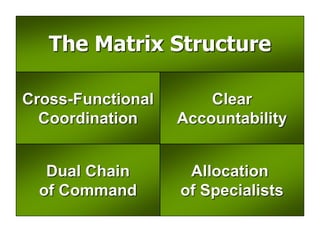The Matrix Structure
Cross-Functional
Coordination
Clear
Accountability
Allocation
of Specialists
Dual Chain
of Command
 