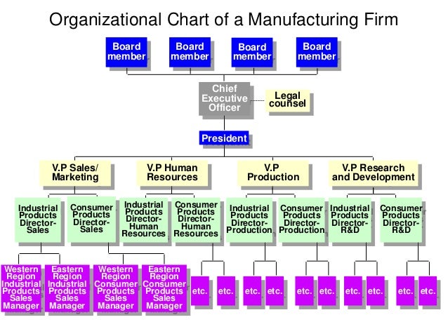 Lecture No 2 Org Structure