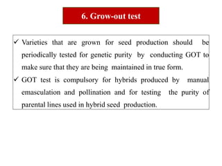  Varieties that are grown for seed production should be
periodically tested for genetic purity by conducting GOT to
make sure that they are being maintained in true form.
 GOT test is compulsory for hybrids produced by manual
emasculation and pollination and for testing the purity of
parental lines used in hybrid seed production.
6. Grow-out test
 