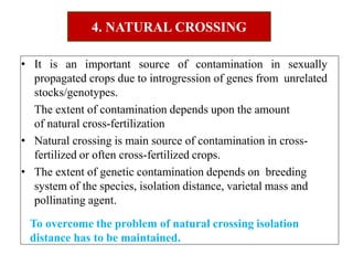 • It is an important source of contamination in sexually
propagated crops due to introgression of genes from unrelated
stocks/genotypes.
• The extent of contamination depends upon the amount
of natural cross-fertilization
• Natural crossing is main source of contamination in cross-
fertilized or often cross-fertilized crops.
• The extent of genetic contamination depends on breeding
system of the species, isolation distance, varietal mass and
pollinating agent.
To overcome the problem of natural crossing isolation
distance has to be maintained.
4. NATURAL CROSSING
 