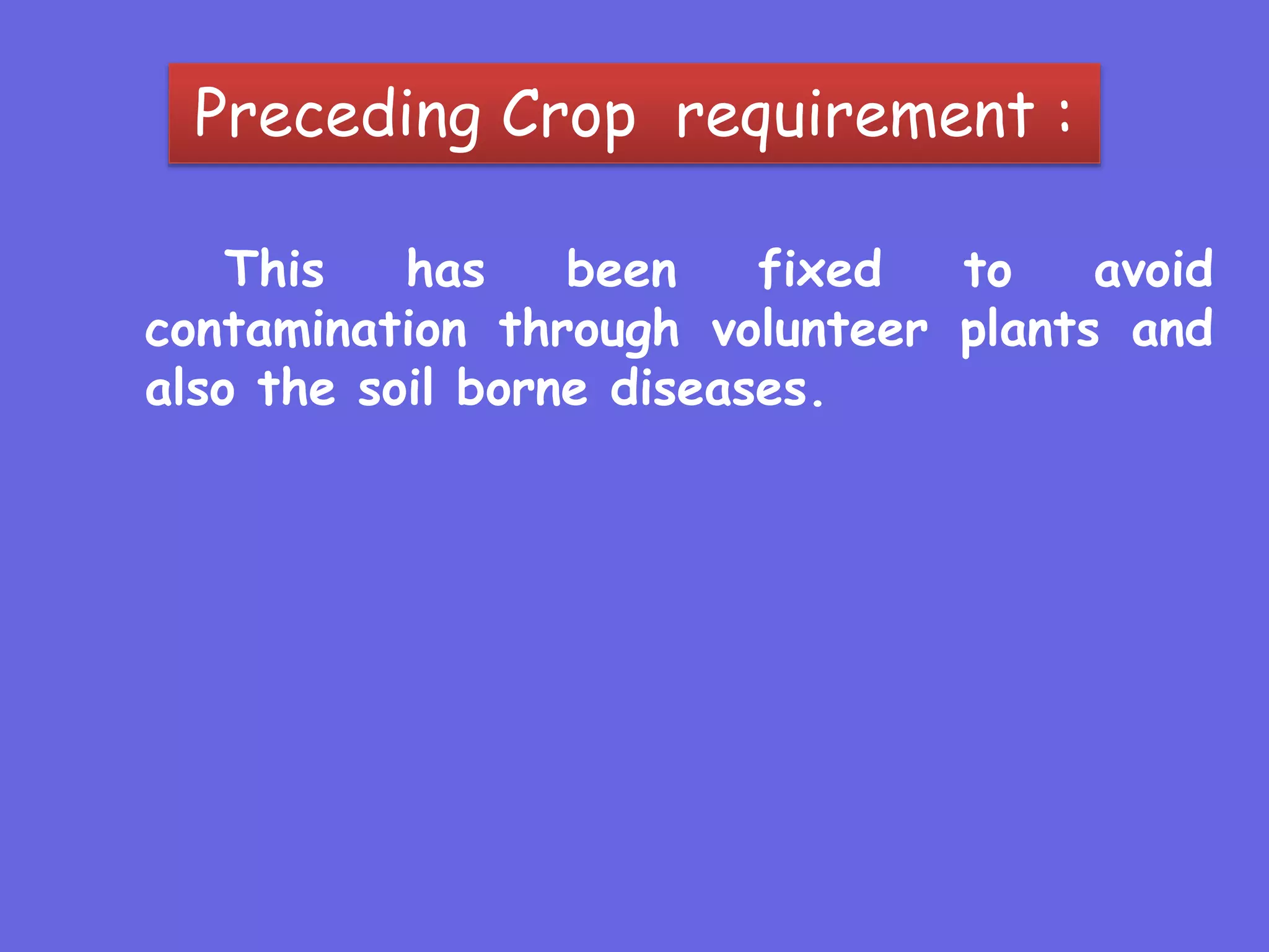 Preceding Crop requirement :
This has been fixed to avoid
contamination through volunteer plants and
also the soil borne diseases.
 