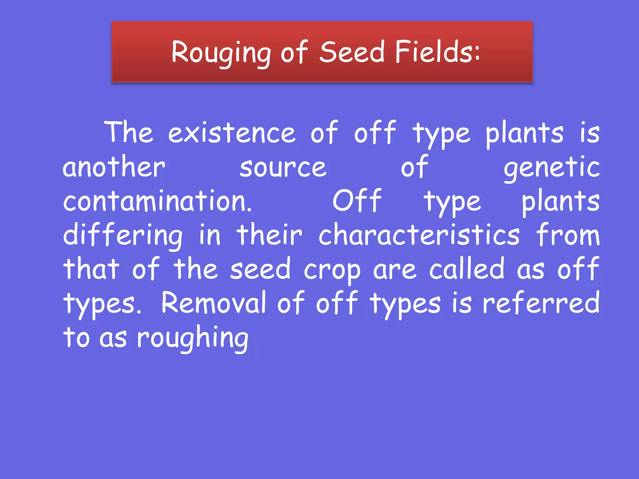 Rouging of Seed Fields:
The existence of off type plants is
another source of genetic
contamination. Off type plants
differing in their characteristics from
that of the seed crop are called as off
types. Removal of off types is referred
to as roughing
 