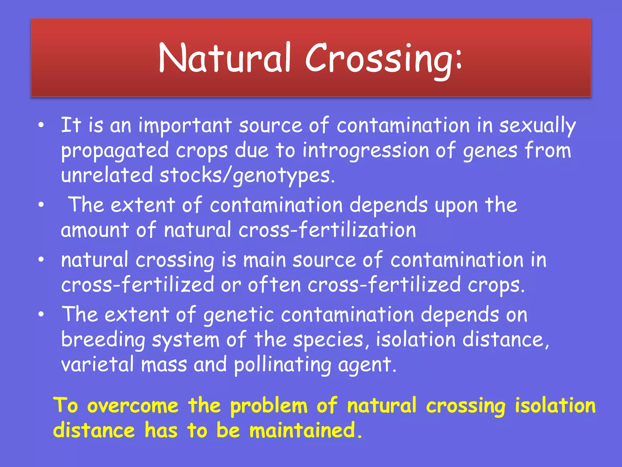 Natural Crossing:
• It is an important source of contamination in sexually
propagated crops due to introgression of genes from
unrelated stocks/genotypes.
• The extent of contamination depends upon the
amount of natural cross-fertilization
• natural crossing is main source of contamination in
cross-fertilized or often cross-fertilized crops.
• The extent of genetic contamination depends on
breeding system of the species, isolation distance,
varietal mass and pollinating agent.
To overcome the problem of natural crossing isolation
distance has to be maintained.
 
