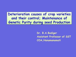 Deterioration causes of crop varieties
and their control; Maintenance of
Genetic Purity during seed Production
Dr. B.A.Badiger
Assistant Professor of SST
COA,Hanumanamati
 