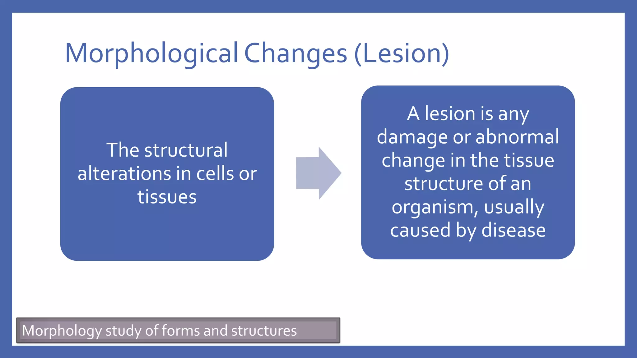 Morphological Changes (Lesion)
The structural
alterations in cells or
tissues
A lesion is any
damage or abnormal
change in the tissue
structure of an
organism, usually
caused by disease
Morphology study of forms and structures
 
