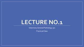 LECTURE NO.1
Veterinary General Pathology 301
Practical Class
 