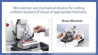 Microtomen Histopathology Embedding to Staining the Slides | PDF