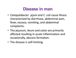 Disease in man
• Campylobacter jejuni and C. coli cause illness
characterized by diarrhoea, abdominal pain,
fever, nausea,...