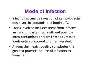 Mode of infection
• Infection occurs by ingestion of campylobacter
organisms in contaminated foodstuffs.
• Foods involved ...