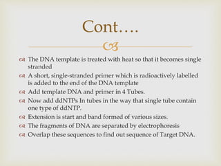 
 The DNA template is treated with heat so that it becomes single
stranded
 A short, single-stranded primer which is radioactively labelled
is added to the end of the DNA template
 Add template DNA and primer in 4 Tubes.
 Now add ddNTPs In tubes in the way that single tube contain
one type of ddNTP.
 Extension is start and band formed of various sizes.
 The fragments of DNA are separated by electrophoresis
 Overlap these sequences to find out sequence of Target DNA.
Cont….
 