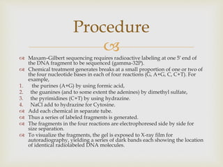 
 Maxam–Gilbert sequencing requires radioactive labeling at one 5′ end of
the DNA fragment to be sequenced (gamma-32P).
 Chemical treatment generates breaks at a small proportion of one or two of
the four nucleotide bases in each of four reactions (G, A+G, C, C+T). For
example,
1. the purines (A+G) by using formic acid,
2. the guanines (and to some extent the adenines) by dimethyl sulfate,
3. the pyrimidines (C+T) by using hydrazine.
4. NaCl add to hydrazine for Cytosine.
 Add each chemical in separate tube.
 Thus a series of labeled fragments is generated.
 The fragments in the four reactions are electrophoresed side by side for
size separation.
 To visualize the fragments, the gel is exposed to X-ray film for
autoradiography, yielding a series of dark bands each showing the location
of identical radiolabeled DNA molecules.
Procedure
 