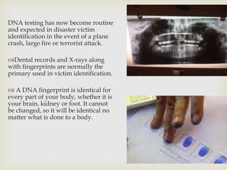 DNA testing has now become routine
and expected in disaster victim
identification in the event of a plane
crash, large fire or terrorist attack.
Dental records and X-rays along
with fingerprints are normally the
primary used in victim identification.
 A DNA fingerprint is identical for
every part of your body, whether it is
your brain, kidney or foot. It cannot
be changed, so it will be identical no
matter what is done to a body.
 