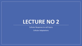 LECTURE NO 2
Cellular Response to cell Injury
Cellular Adaptations
 