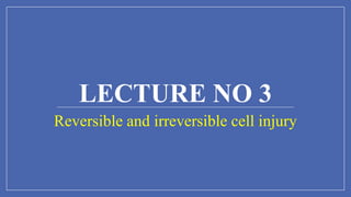 LECTURE NO 3
Reversible and irreversible cell injury
 