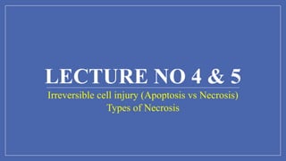 LECTURE NO 4 & 5
Irreversible cell injury (Apoptosis vs Necrosis)
Types of Necrosis
 