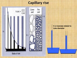 Lecture Note. Chapter 2 Soil water plant relationship.pdf