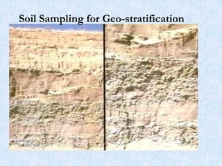 Soil Sampling for Geo-stratification
27
 