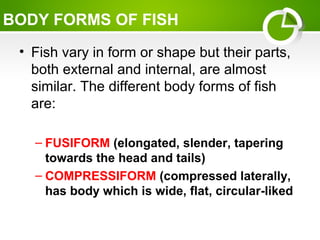 • Fish vary in form or shape but their parts,
both external and internal, are almost
similar. The different body forms of fish
are:
– FUSIFORM (elongated, slender, tapering
towards the head and tails)
– COMPRESSIFORM (compressed laterally,
has body which is wide, flat, circular-liked
BODY FORMS OF FISH
 
