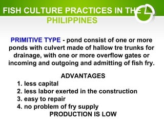 FISH CULTURE PRACTICES IN THE
PHILIPPINES
PRIMITIVE TYPE - pond consist of one or more
ponds with culvert made of hallow tre trunks for
drainage, with one or more overflow gates or
incoming and outgoing and admitting of fish fry.
ADVANTAGES
1. less capital
2. less labor exerted in the construction
3. easy to repair
4. no problem of fry supply
PRODUCTION IS LOW
 