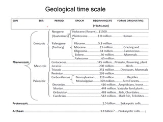 Geological time scale
 