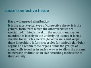 Comprehensive Overview of Human Anatomy and Physiology: Structure ...