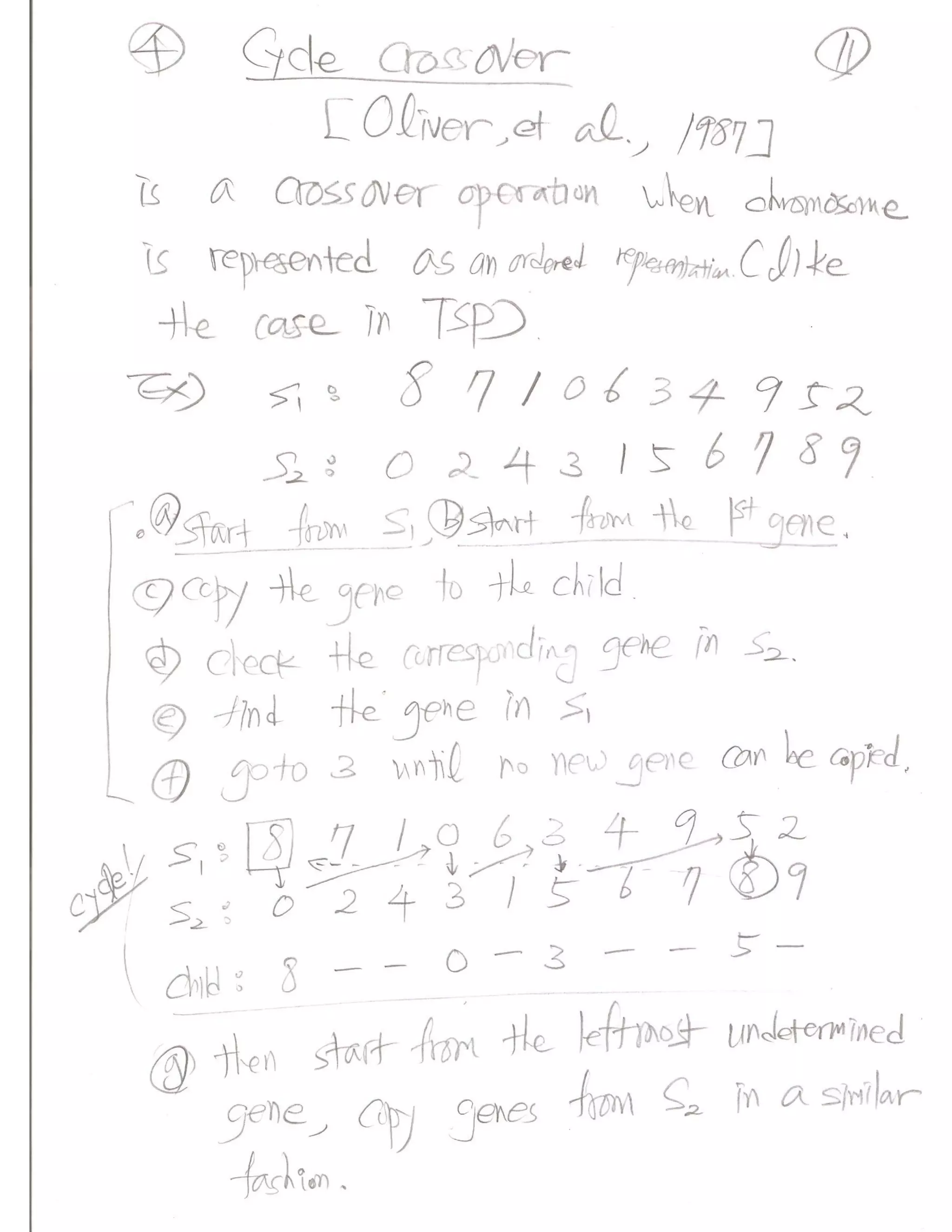 Evolutionary Computation Lecture notes03