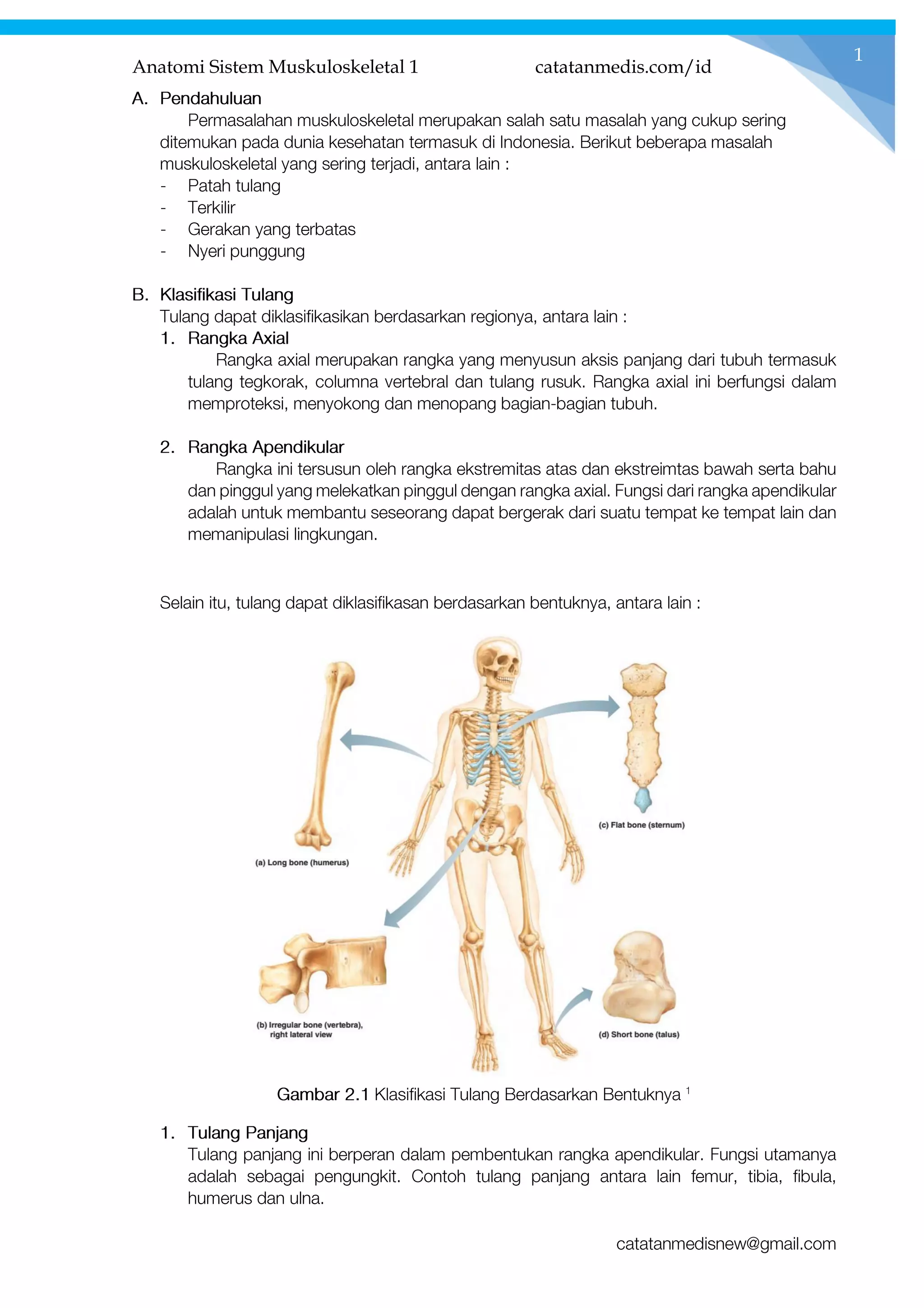 Anatomi Sistem Muskuloskeletal 1 catatanmedis.com/id
1