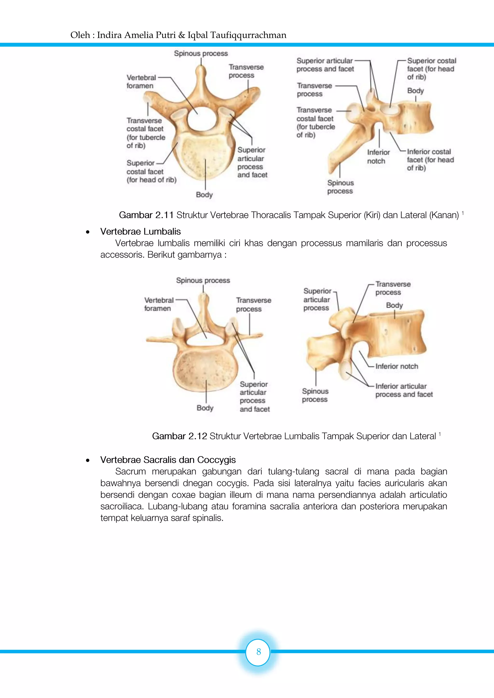 Oleh : Indira Amelia Putri & Iqbal Taufiqqurrachman
8

