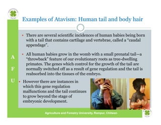 Lecture Notes_9_Phenotypic Expression of Genes.pdf