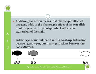 Additive Inheritance Lecture Notes_9_Phenotypic Expression of Genes.pdf