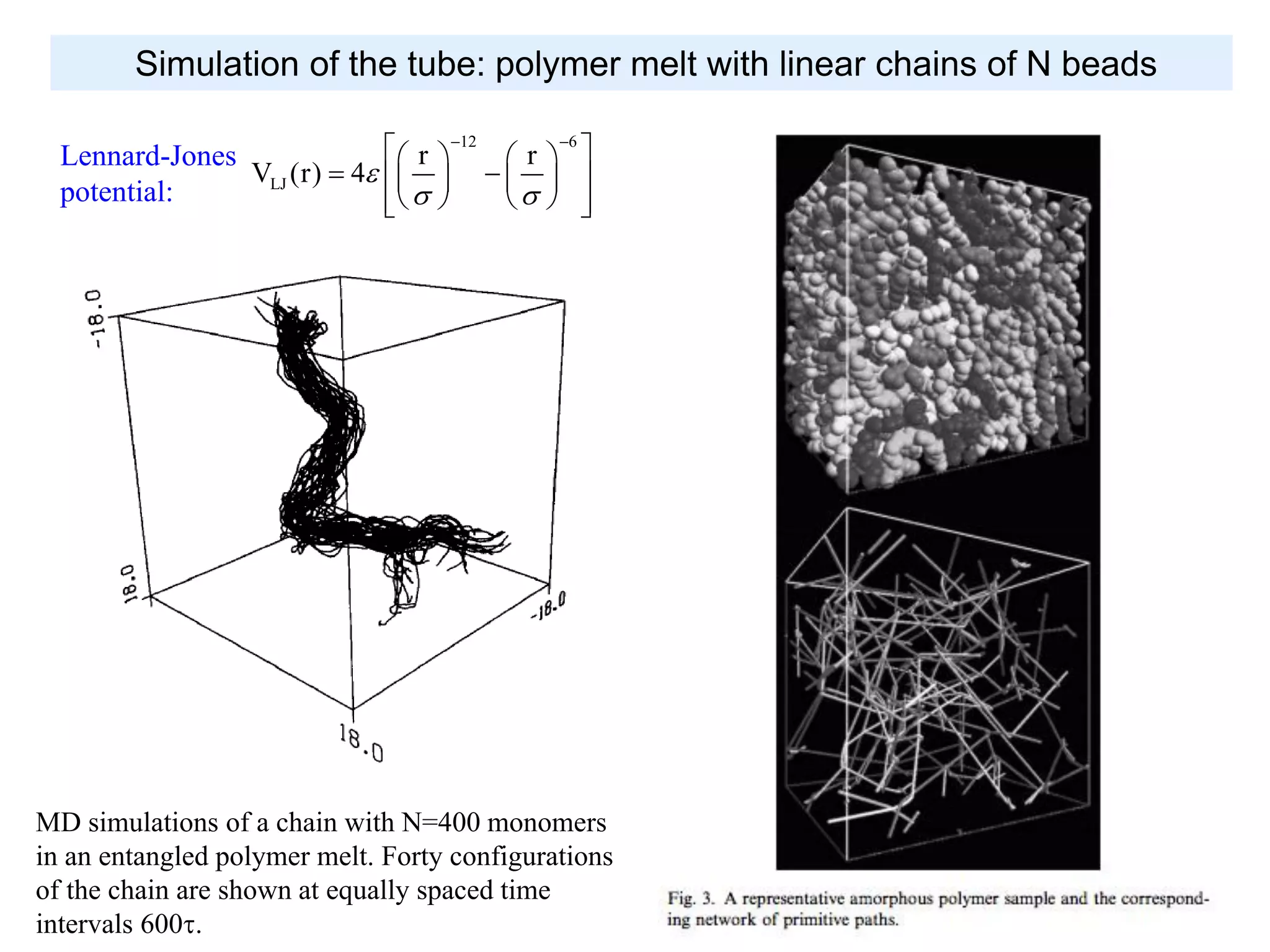 FENE bead-
spring model:
2
2
FENE o 2
o
1 r
V (r) kr ln 1
2 r
 
  
 
k = 30 2 and ro = 1.5
Lennard-Jones
potential:
12 6
LJ
r r
V (r) 4
 
 
    
     
     
Simulation of the tube: polymer melt with linear chains of N beads
MD simulations of a chain with N=400 monomers
in an entangled polymer melt. Forty configurations
of the chain are shown at equally spaced time
intervals 600.
 