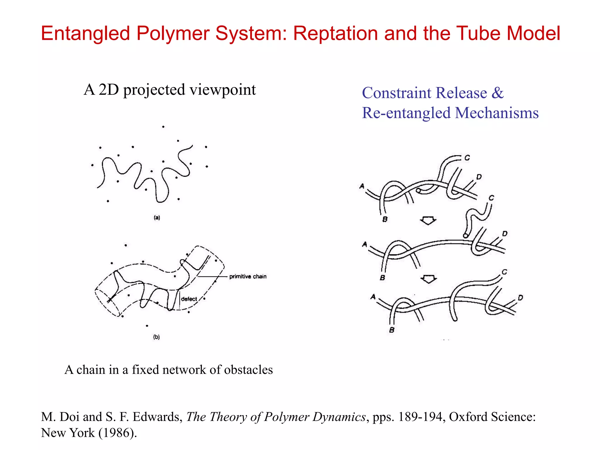 Entangled Polymer System: Reptation and the Tube Model
M. Doi and S. F. Edwards, The Theory of Polymer Dynamics, pps. 189-194, Oxford Science:
New York (1986).
Constraint Release &
Re-entangled Mechanisms
A 2D projected viewpoint
A chain in a fixed network of obstacles
 