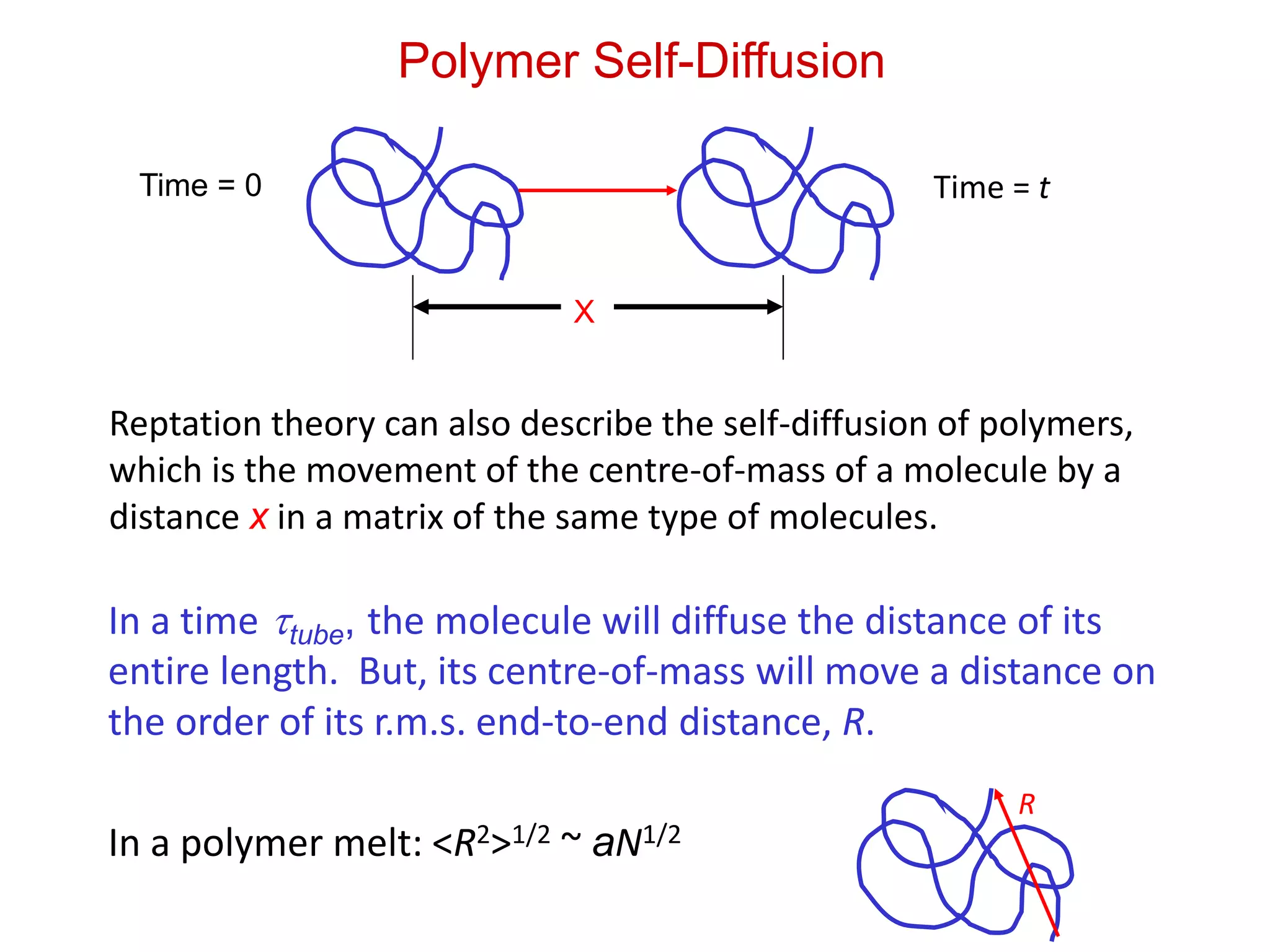 Polymer Self-Diffusion
X
Time = 0 Time = t
Reptation theory can also describe the self-diffusion of polymers,
which is the movement of the centre-of-mass of a molecule by a
distance x in a matrix of the same type of molecules.
In a time tube, the molecule will diffuse the distance of its
entire length. But, its centre-of-mass will move a distance on
the order of its r.m.s. end-to-end distance, R.
In a polymer melt: <R2>1/2 ~ aN1/2
R
 