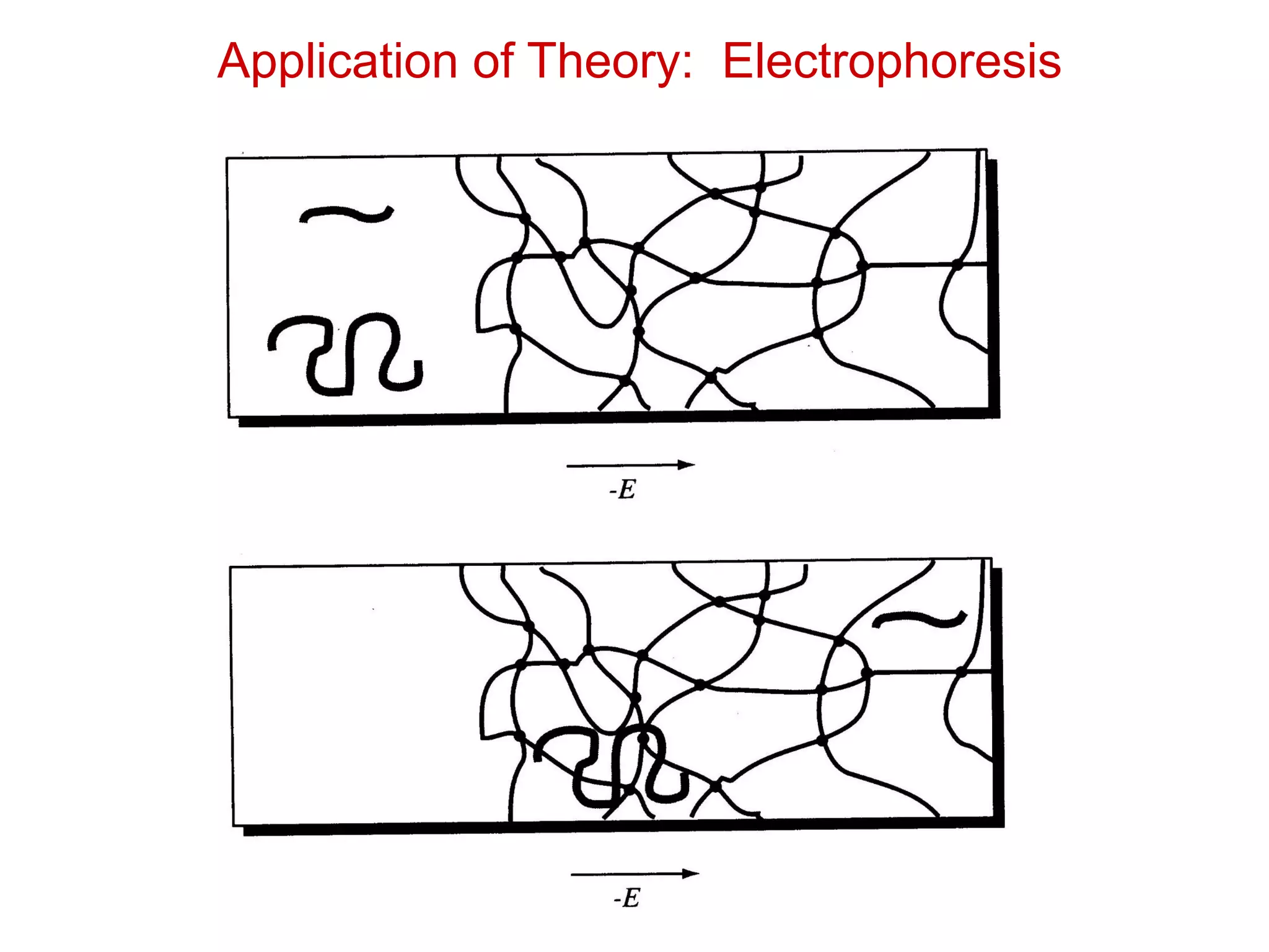 Application of Theory: Electrophoresis
 