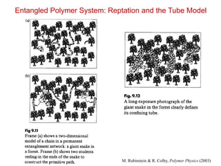 Rubinstein, Colby - Polymer Physics
