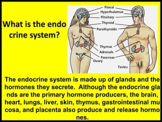Lecture Notes Endocrine-System.ppt