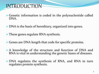 Lecture notes on dna and rna for submission | PPT