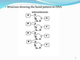 Lecture notes on dna and rna for submission | PPT