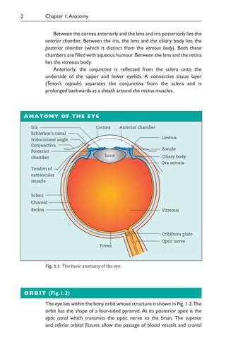 Between the cornea anteriorly and the lens and iris posteriorly lies the
anterior chamber. Between the iris, the lens and the ciliary body lies the
posterior chamber (which is distinct from the vitreous body). Both these
chambers are filled with aqueous humour. Between the lens and the retina
lies the vitreous body.
Anteriorly, the conjunctiva is reflected from the sclera onto the
underside of the upper and lower eyelids. A connective tissue layer
(Tenon’s capsule) separates the conjunctiva from the sclera and is
prolonged backwards as a sheath around the rectus muscles.
2 Chapter 1:Anatomy
ANATOMY OF THE EYE
Cornea
Schlemm's canal
Conjunctiva
Tendon of
extraocular
muscle
Iris
Lens
Iridocorneal angle
Posterior
chamber
Sclera
Choroid
Retina
Anterior chamber
Limbus
Ciliary body
Zonule
Ora serrata
Cribiform plate
Optic nerve
Fovea
Vitreous
Fig. 1.10The basic anatomy of the eye.
ORBIT (Fig.1.2)
The eye lies within the bony orbit whose structure is shown in Fig. 1.2.The
orbit has the shape of a four-sided pyramid. At its posterior apex is the
optic canal which transmits the optic nerve to the brain. The superior
and inferior orbital fissures allow the passage of blood vessels and cranial
 