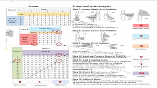 Reba Form.pdf ERGONOMIC ASSESSMENT USING THE REBA TOOL pdf | PDF