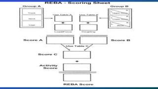 Reba Form.pdf ERGONOMIC ASSESSMENT USING THE REBA TOOL pdf | PDF